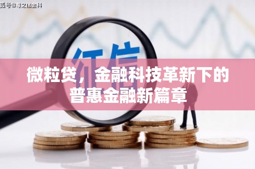 双溪微粒贷，金融科技革新下的普惠金融新篇章