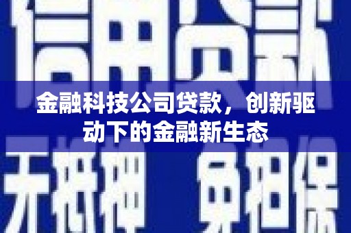 龙游金融科技公司贷款，创新驱动下的金融新生态