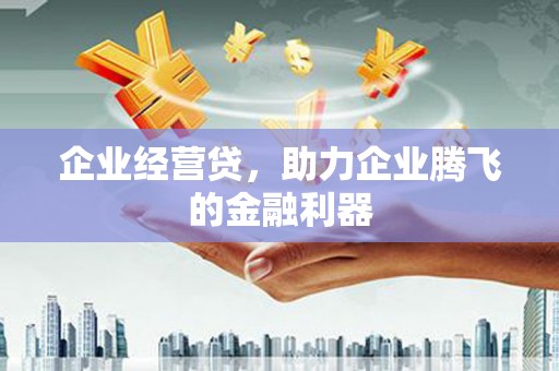 美溪企业经营贷，助力企业腾飞的金融利器