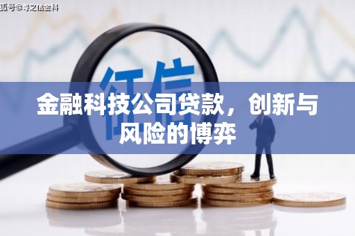 浉河金融科技公司贷款，创新与风险的博弈