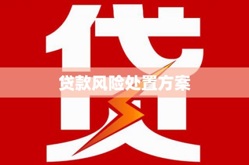 旬阳贷款风险处置方案