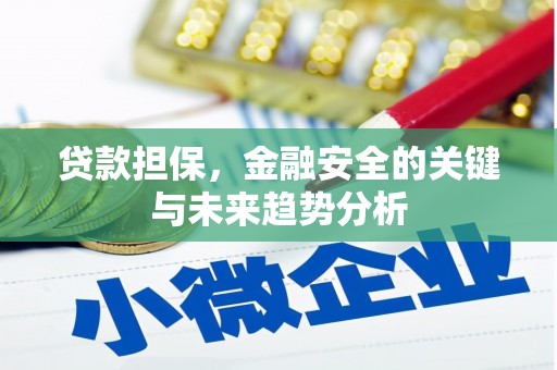 德清贷款担保，金融安全的关键与未来趋势分析