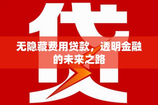 青神无隐藏费用贷款，透明金融的未来之路