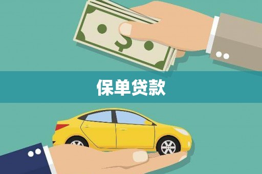 万峦保单贷款