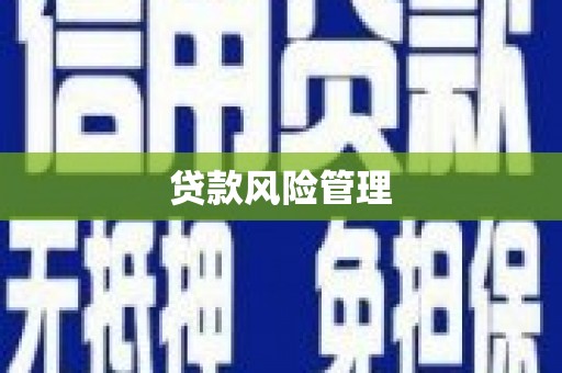 士林贷款风险管理