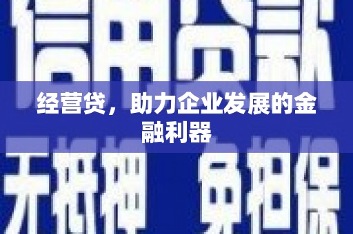 舞阳经营贷，助力企业发展的金融利器
