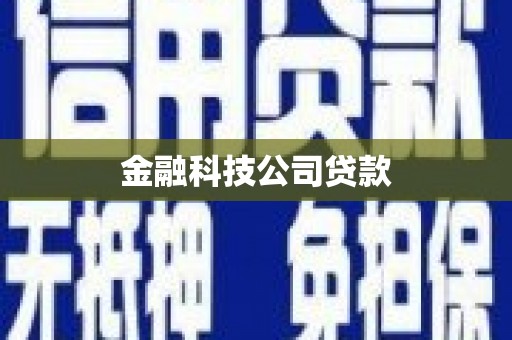 龙崎金融科技公司贷款