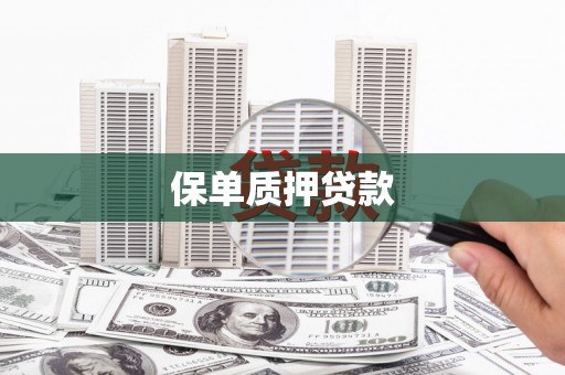 岳塘保单质押贷款
