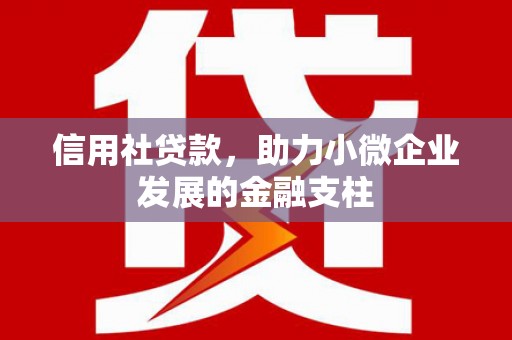 成华信用社贷款，助力小微企业发展的金融支柱