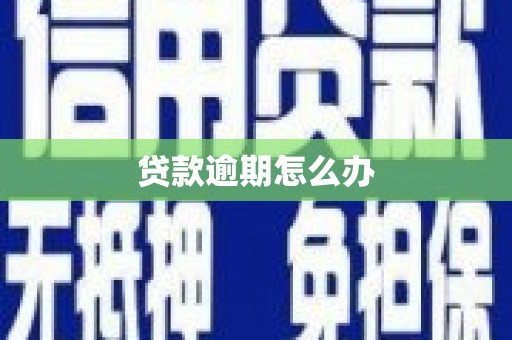 凤林贷款逾期怎么办