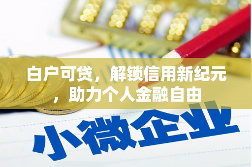 观音白户可贷，解锁信用新纪元，助力个人金融自由