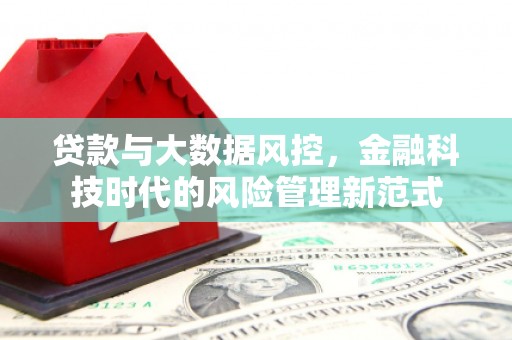 巧家贷款与大数据风控，金融科技时代的风险管理新范式