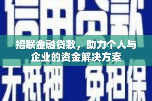 新营招联金融贷款，助力个人与企业的资金解决方案