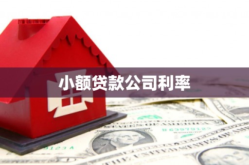 石屏小额贷款公司利率