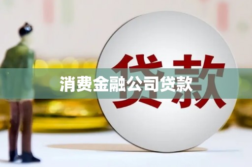 盐埕消费金融公司贷款