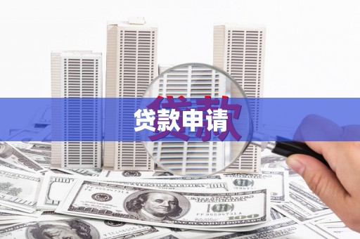 柳东贷款申请