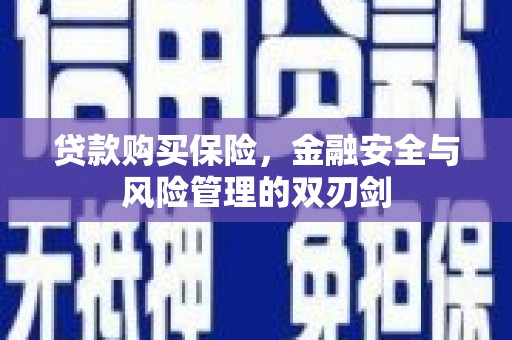 两当贷款购买保险，金融安全与风险管理的双刃剑
