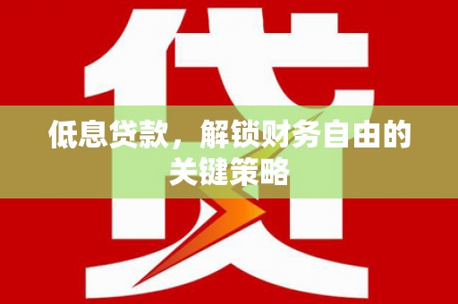 阳春低息贷款，解锁财务自由的关键策略