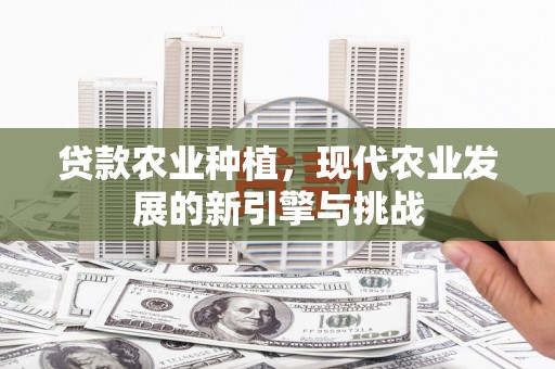 礼县贷款农业种植，现代农业发展的新引擎与挑战
