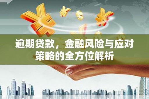 芦竹逾期贷款，金融风险与应对策略的全方位解析