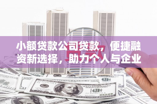 措勤小额贷款公司贷款，便捷融资新选择，助力个人与企业成长