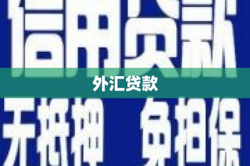 海曙外汇贷款