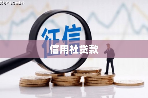 娄星信用社贷款