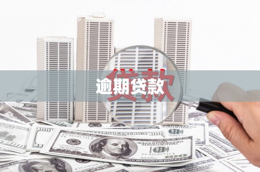 三亚逾期贷款