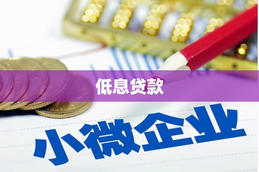 昭化低息贷款