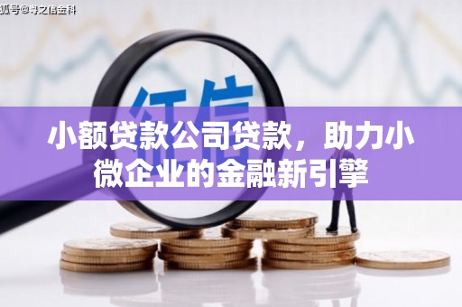 德钦小额贷款公司贷款，助力小微企业的金融新引擎