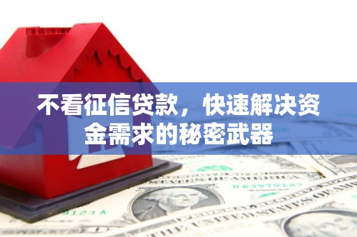 双滦不看征信贷款，快速解决资金需求的秘密武器