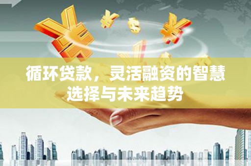 炉霍循环贷款，灵活融资的智慧选择与未来趋势