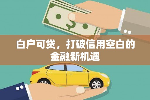 东明白户可贷，打破信用空白的金融新机遇