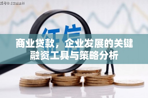 兰西商业贷款，企业发展的关键融资工具与策略分析
