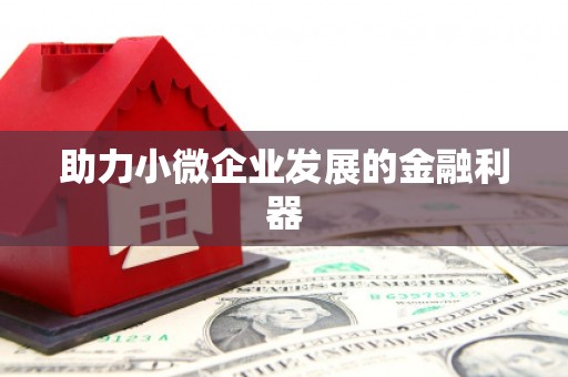 班戈助力小微企业发展的金融利器