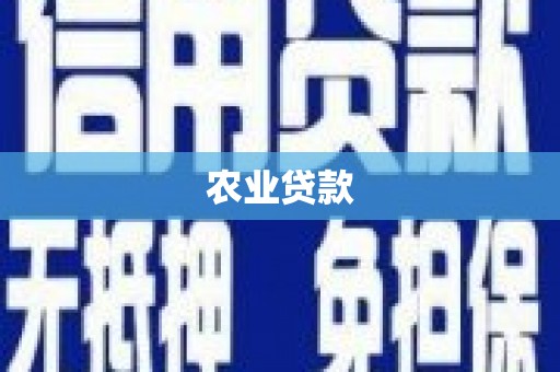 宣威农业贷款