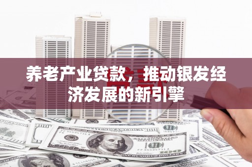 岫岩养老产业贷款，推动银发经济发展的新引擎