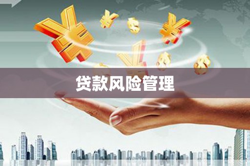 安远贷款风险管理