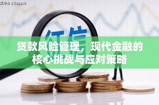 保靖贷款风险管理，现代金融的核心挑战与应对策略