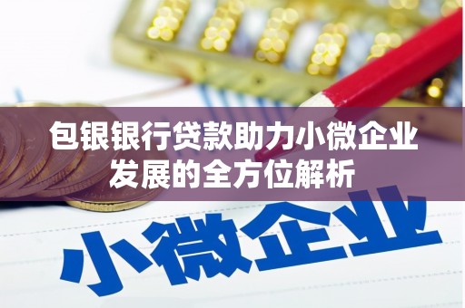萨迦包银银行贷款助力小微企业发展的全方位解析