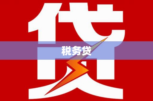 文安税务贷
