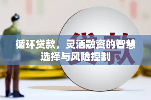 绥中循环贷款，灵活融资的智慧选择与风险控制