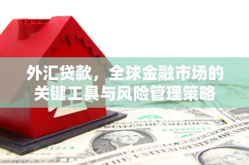 松山外汇贷款，全球金融市场的关键工具与风险管理策略