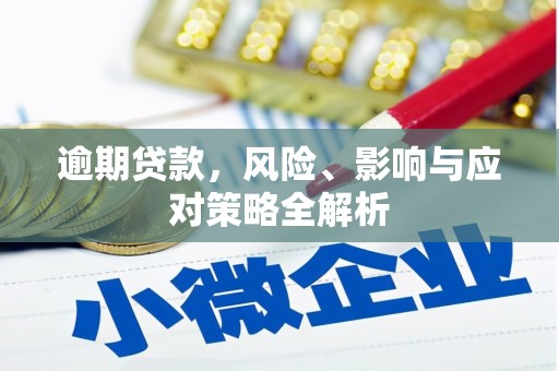 临西逾期贷款，风险、影响与应对策略全解析