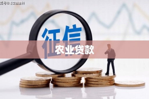 洪雅农业贷款