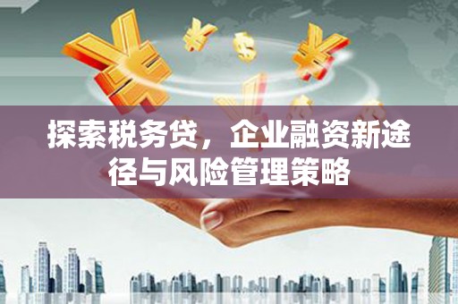 鹿寨探索税务贷，企业融资新途径与风险管理策略