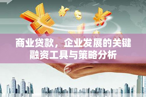 尖扎商业贷款，企业发展的关键融资工具与策略分析
