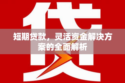 甘孜短期贷款，灵活资金解决方案的全面解析