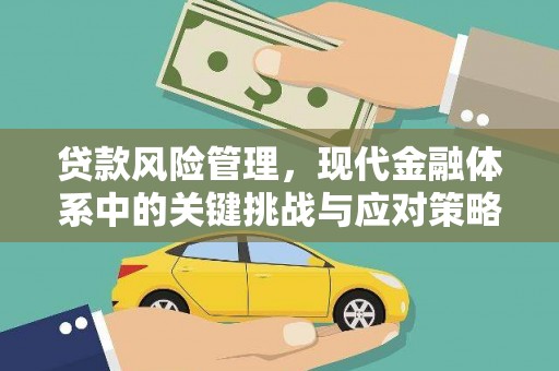 沙坪坝贷款风险管理，现代金融体系中的关键挑战与应对策略