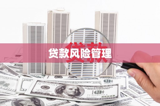崇左贷款风险管理
